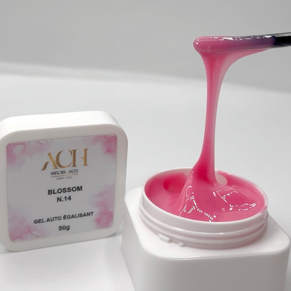Gel Blossom 14. Hema Free