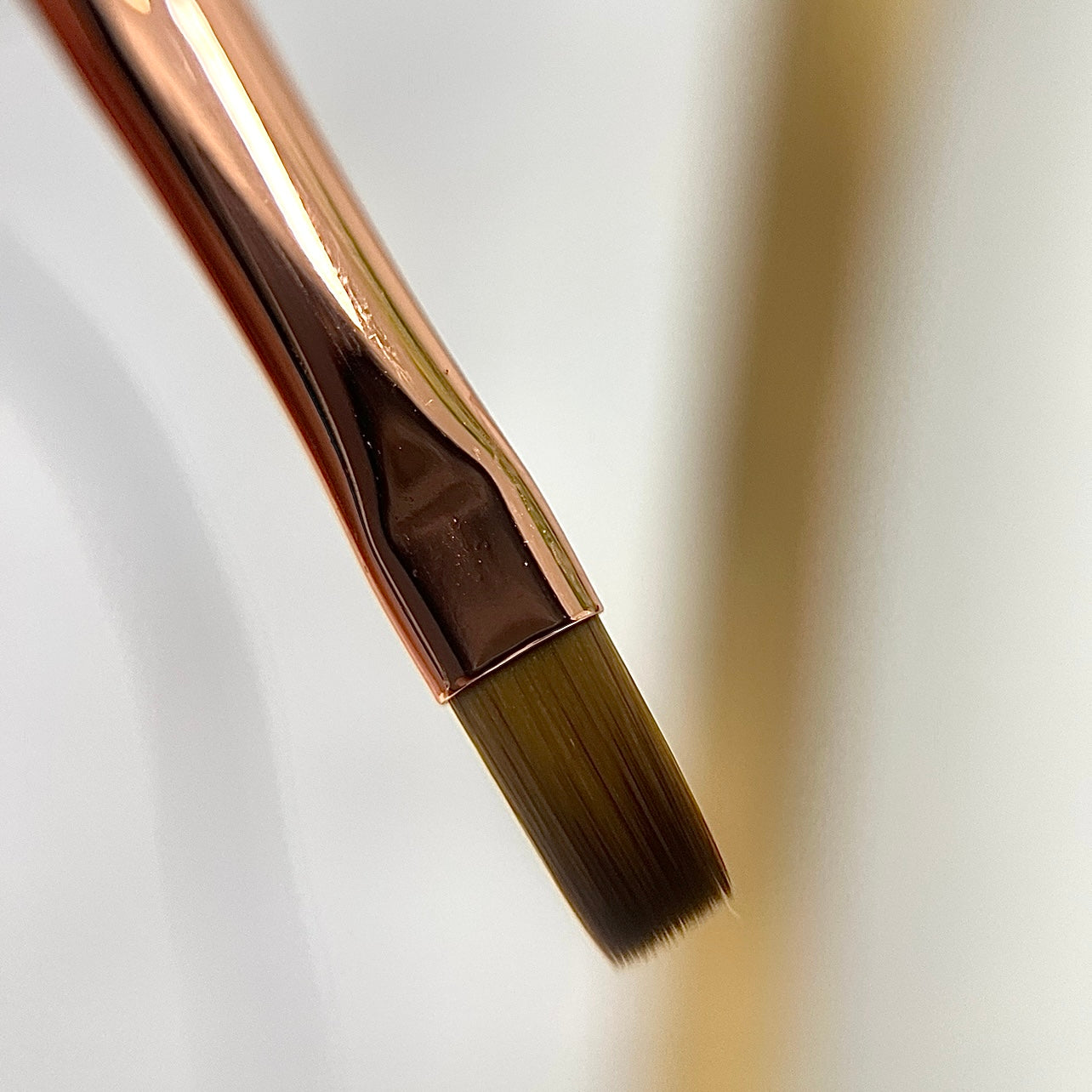Double Pinceau Gel et Dégradé